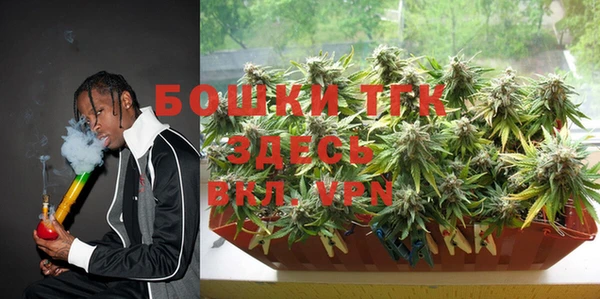 ГАЛЛЮЦИНОГЕННЫЕ ГРИБЫ Арсеньев