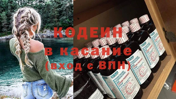 ГАЛЛЮЦИНОГЕННЫЕ ГРИБЫ Арсеньев
