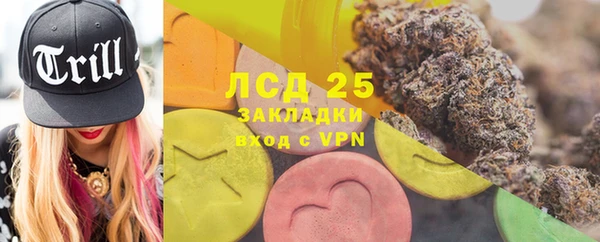 ГАЛЛЮЦИНОГЕННЫЕ ГРИБЫ Арсеньев