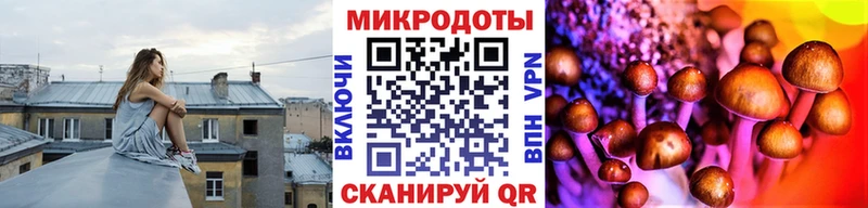 дарнет шоп  блэк спрут ссылка  площадка наркотические препараты  Чапаевск  Галлюциногенные грибы Psilocybine cubensis 