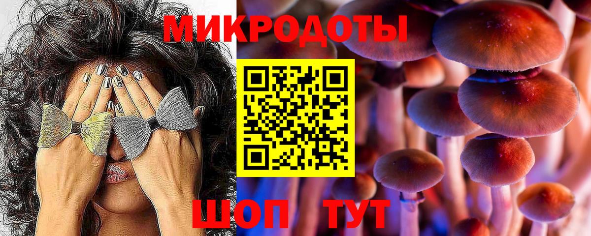 Галлюциногенные грибы мицелий Чапаевск