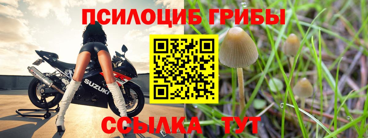 Псилоцибиновые грибы MAGIC MUSHROOMS  Вход с VPN  Галлюциногенные грибы MAGIC MUSHROOMS  купить наркоту  Чапаевск 